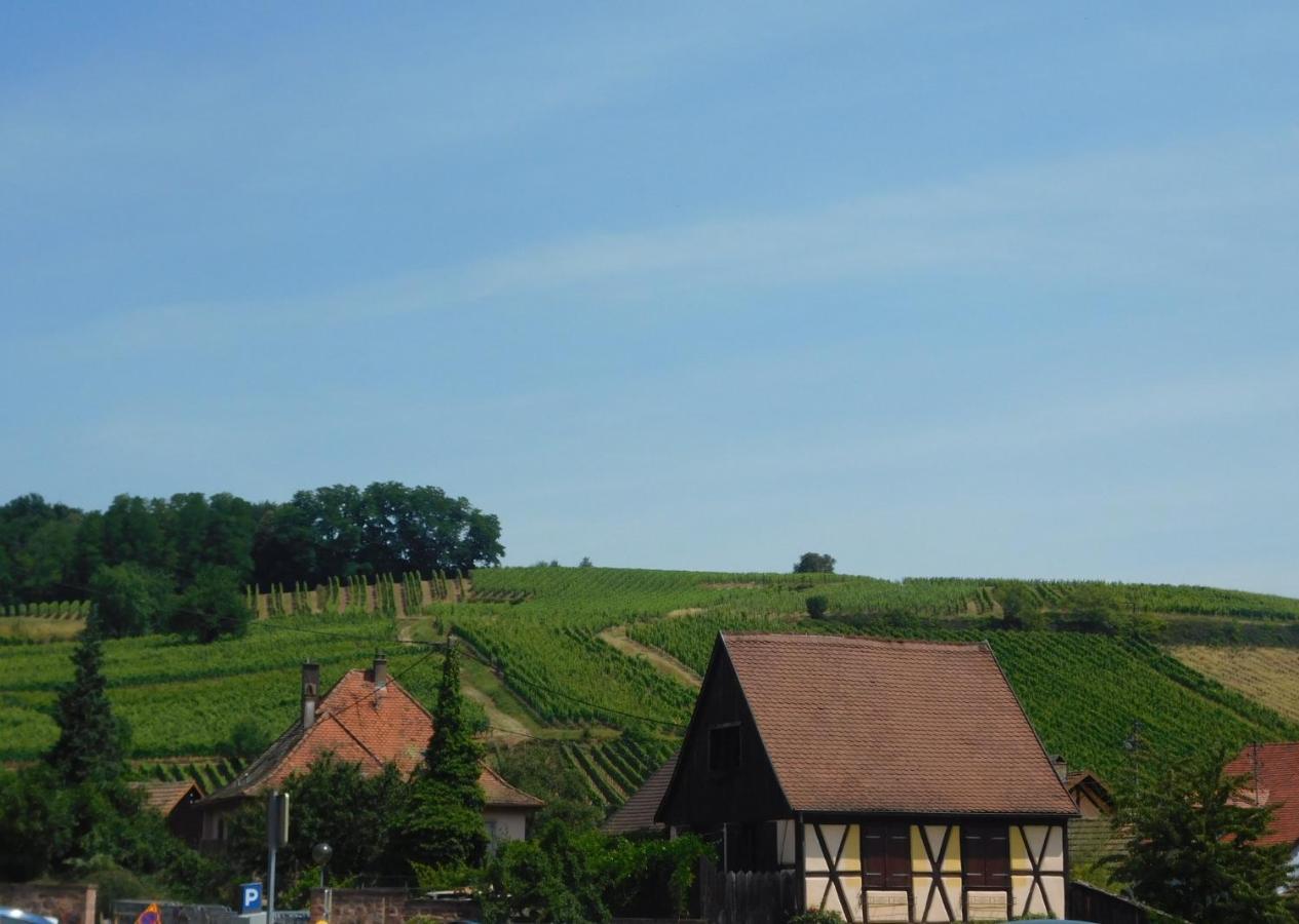 Gewurztraminer - Studio Au Pied Du Vignoble - Renove Recemment - Parking Gratuit Riquewihr Exterior photo
